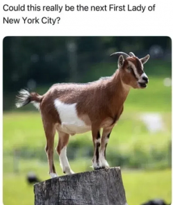1752019656011.png