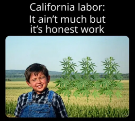 1752371206301.png