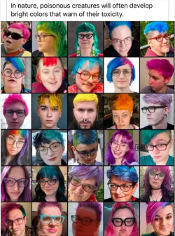 1752456027081.png