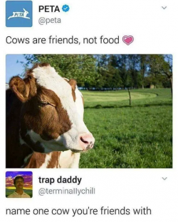 1752537784012.png