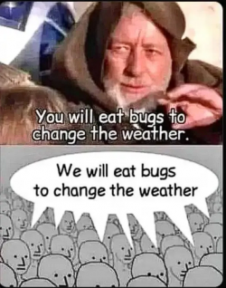 1752623222974.png