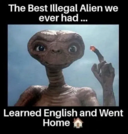 1752794817358.png