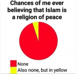 1752881828161.png