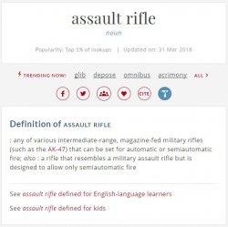 assault rifle definition.JPG