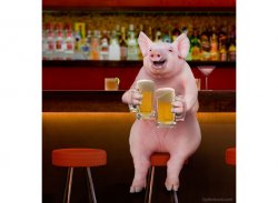 Beer-Drinking-Pig-At-Bar-e1427724399782.jpg