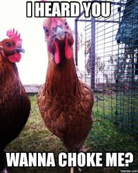 Chicken choke.jpg