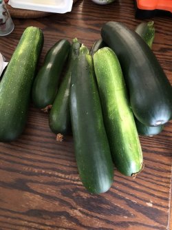 IMG_2335.jpeg