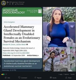 1753184639426.png