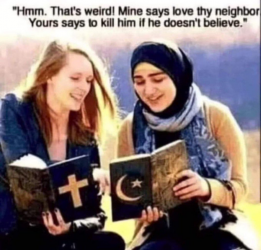 1753202083158.png