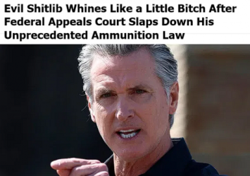 1753495966290.png