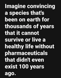 1753665195507.png