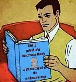 1753666847568.png