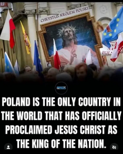 1753752940418.png