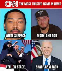 1753804838341.png