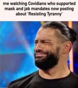 1753840379772.png