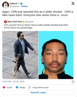 1753875991838.png