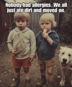 1753923411181.png