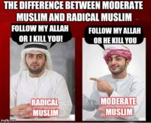 1754138310071.png