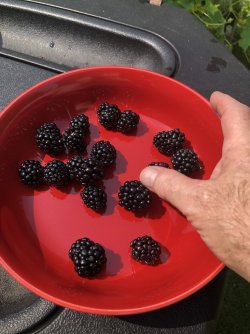 IMG_2380.jpeg