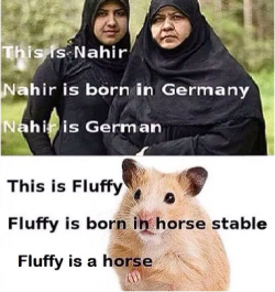 1754258220278.png