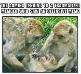 1754258959744.png