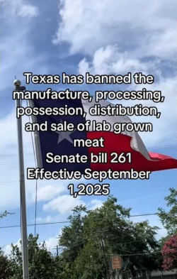 1754322254646.png
