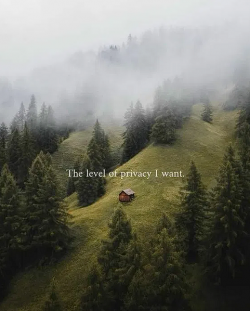 1754434182934.png