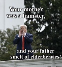 1754447334343.jpeg