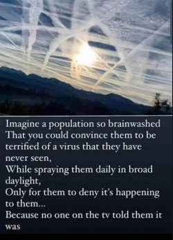 1754524263999.png