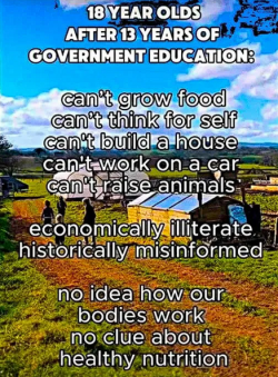 1754596869428.png
