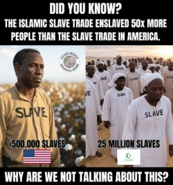 1754655054931.png