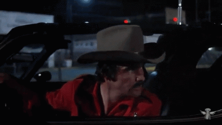 Bandit_Smile_At_Cam.gif
