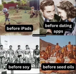 1754782565703.png