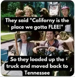 1754782661212.png
