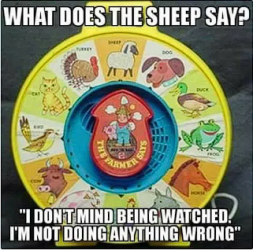 1754872236592.png