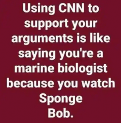 1754872494237.png
