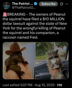 1754872819150.png
