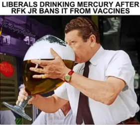 1754957802587.png