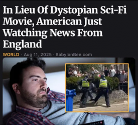 1755166156579.png