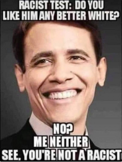 1755166256541.png