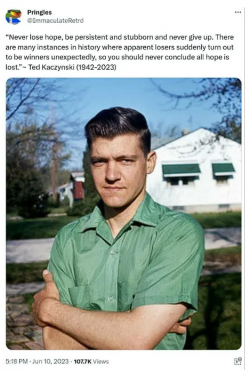 1755265250047.png