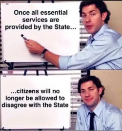 1755267132116.png