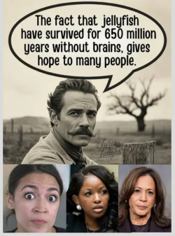 1755300975804.png