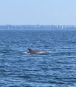 IMG_5824.jpeg