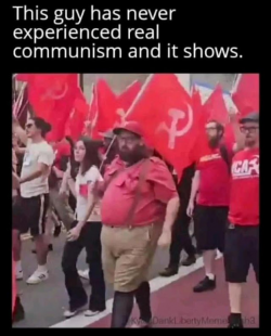 1755343108825.png