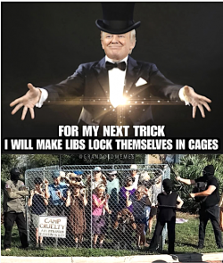 1755351769929.png