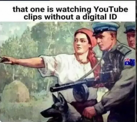 1755351993186.png