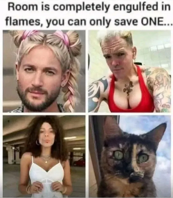 1755392578787.png