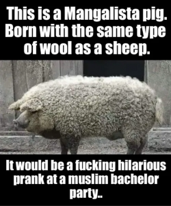 1755478979951.png