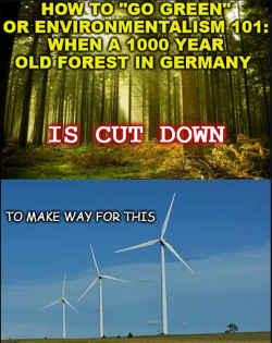 1755480002535.png